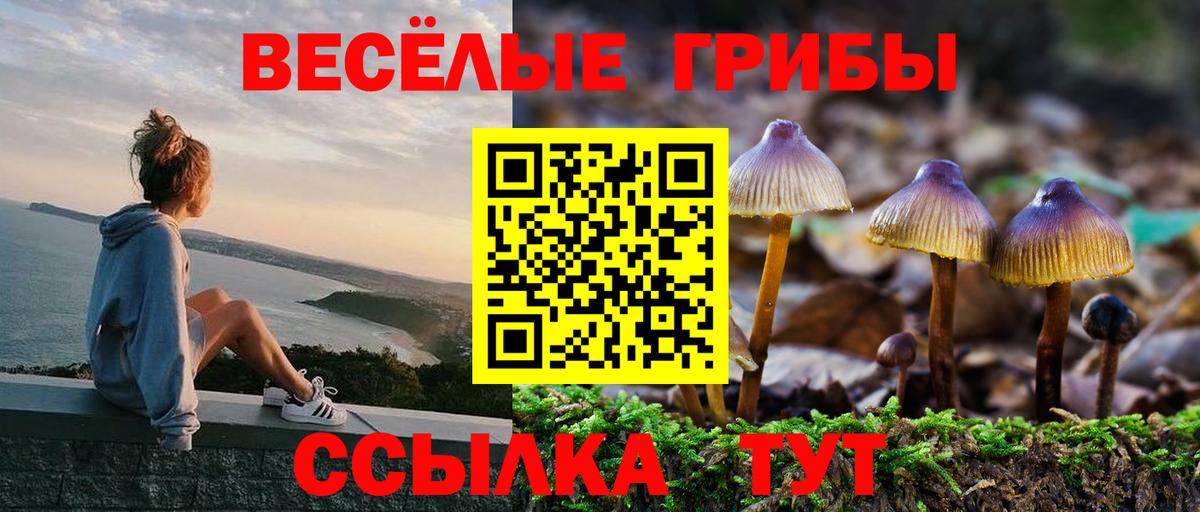 где найти   Вход с VPN  Нефтекамск  Псилоцибиновые грибы GOLDEN TEACHER 